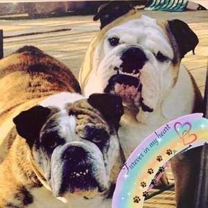 Meet your Posher, Josephine